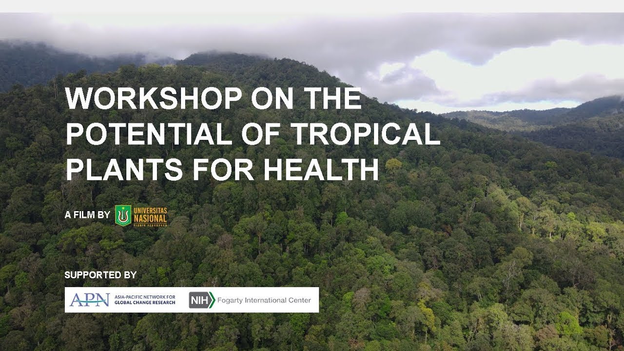 Teaser - Workshop on The Potential of Tropical Plants for Health